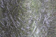 Great Waltham fibreglass roof work